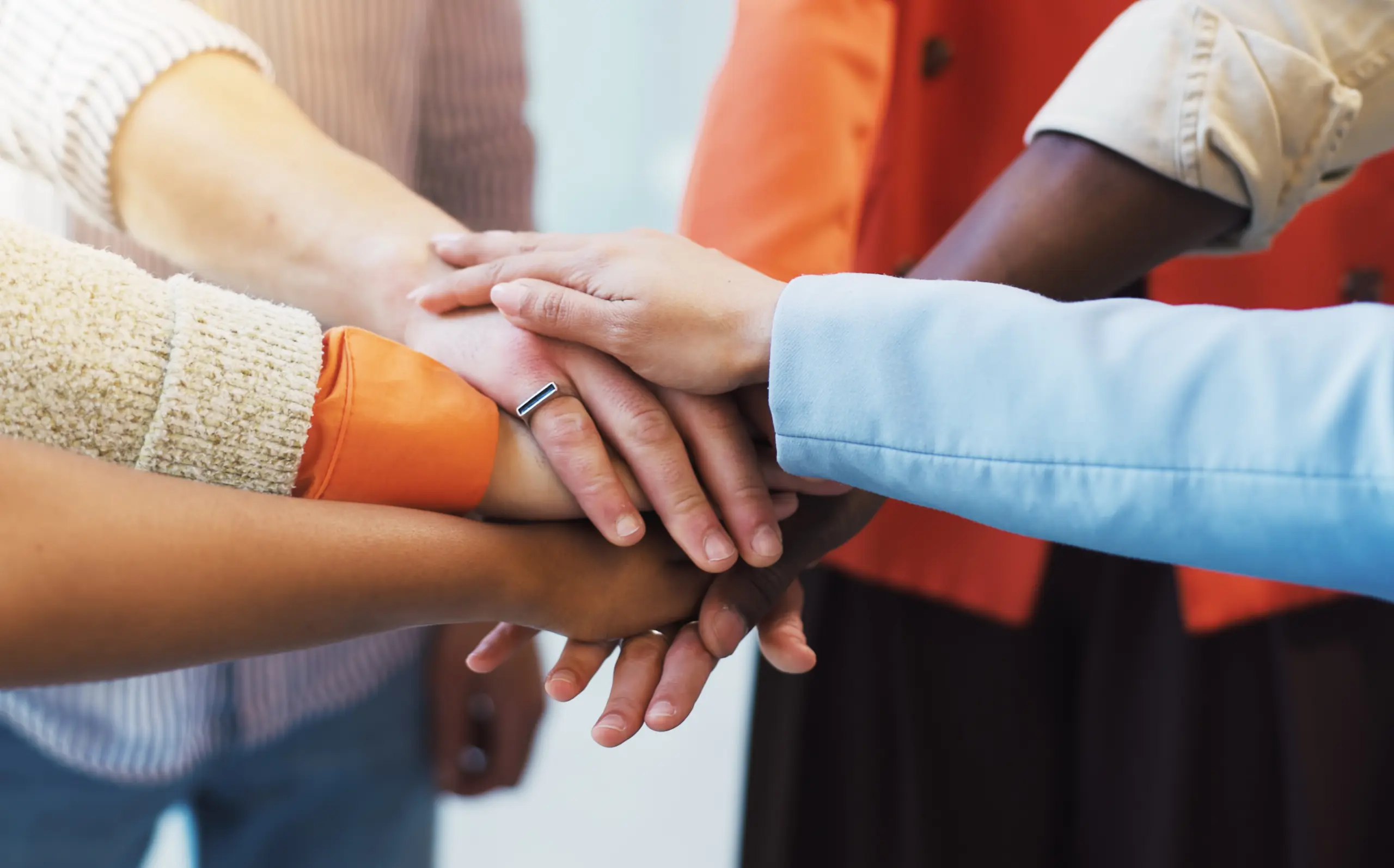 Bilder-Webseite-TPC (2)